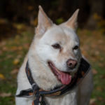 Chelsey's senior photo shoot