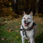 Chelsey's senior photo shoot