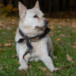 Chelsey's senior photo shoot