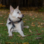 Chelsey's senior photo shoot