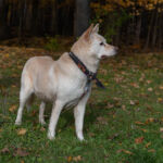 Chelsey's senior photo shoot