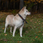 Chelsey's senior photo shoot