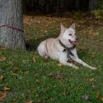 Chelsey's senior photo shoot