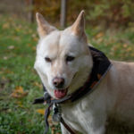 Chelsey's senior photo shoot