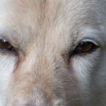 Chelsey's senior photo shoot